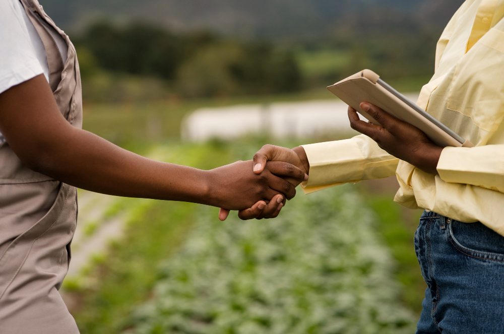 Reforma Tributária pode impulsionar agronegócio Reforma Tributária pode impulsionar agronegócio